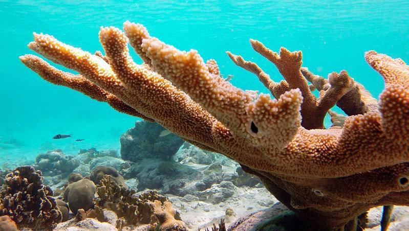 Woodz Bonaire Apartment Kralendijk  Luaran gambar